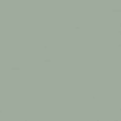 Coloris vert eucalyptus