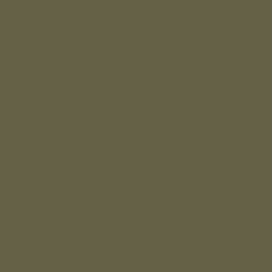 Coloris Olive