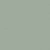 Coloris vert eucalyptus